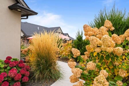 SLjLOS0G0aZ2UkhOMtDMONNAxzpAQvptwqbSlp7e.jpg
